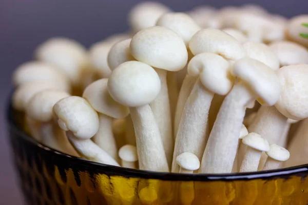 Best Storage Conditions for Maintaining CBD, THC, and Mushroom Product Stability