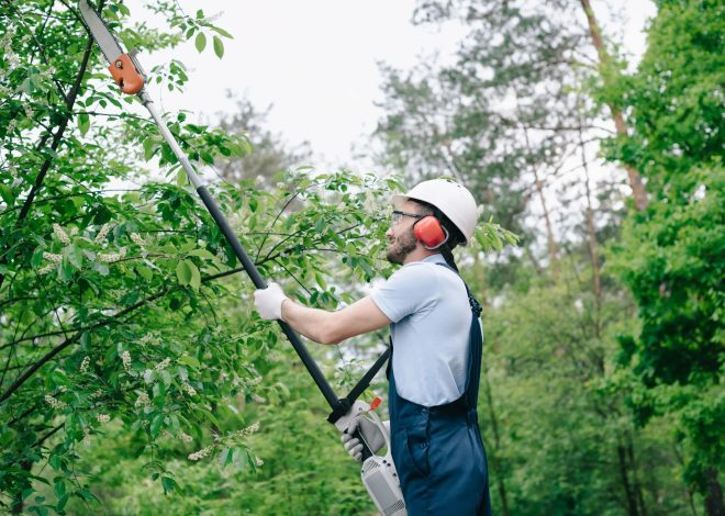 Reliable Outdoor Maintenance by tree surgeon Heald Green Professionals