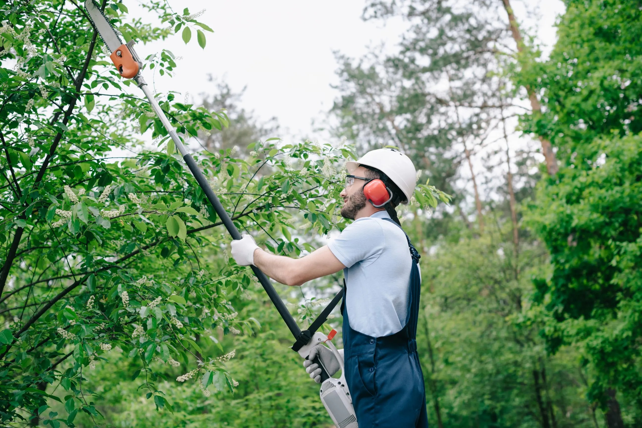 Reliable Outdoor Maintenance by tree surgeon Heald Green Professionals