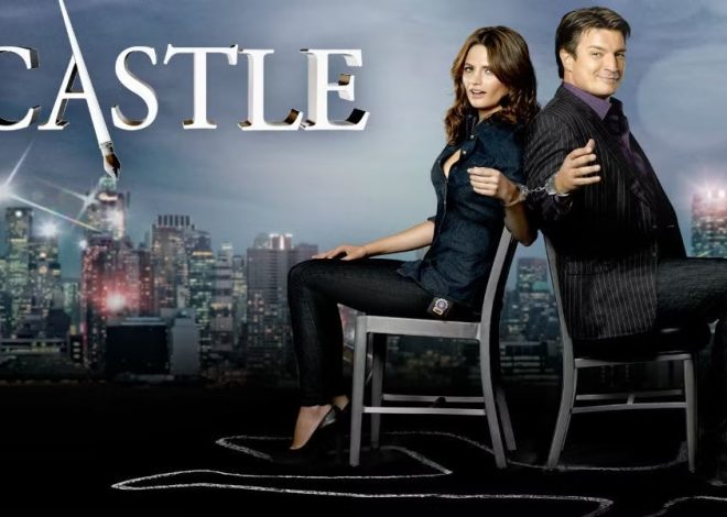 A Step-by-Step Guide to Using Castle App